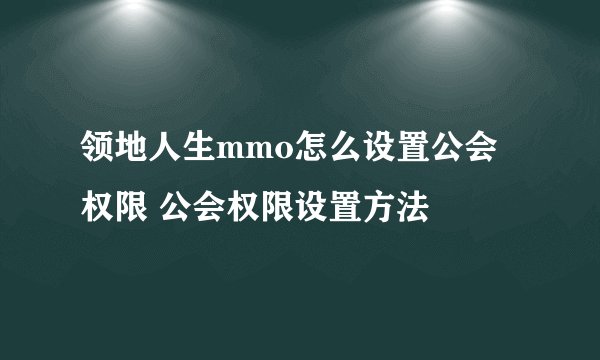 领地人生mmo怎么设置公会权限 公会权限设置方法