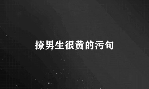 撩男生很黄的污句