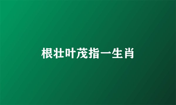 根壮叶茂指一生肖