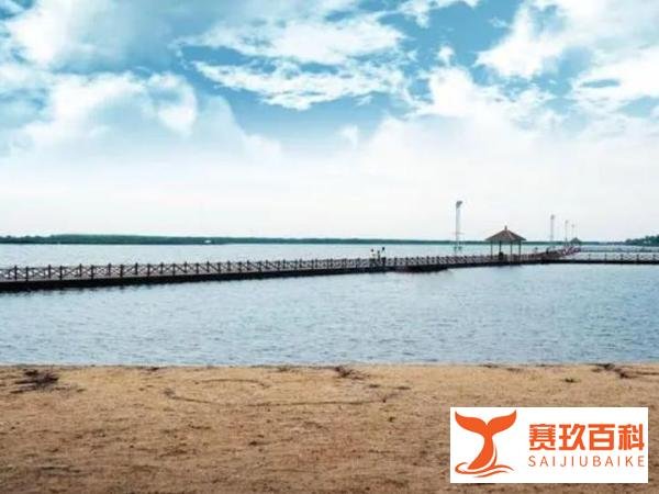 上海景点推荐，三甲港海滨乐园#低音号语音导游#