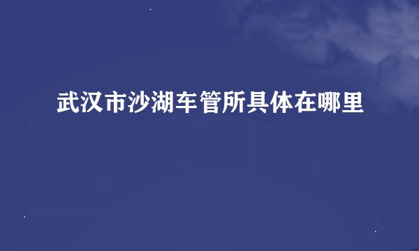 武汉市沙湖车管所具体在哪里
