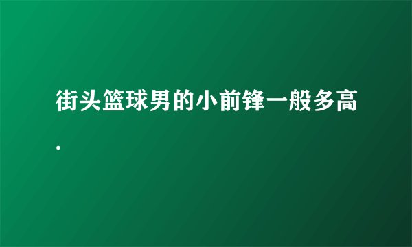 街头篮球男的小前锋一般多高.