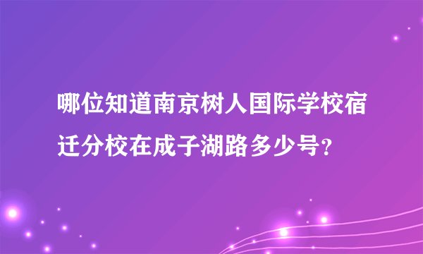 哪位知道南京树人国际学校宿迁分校在成子湖路多少号？