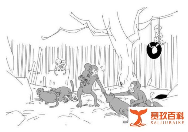 细说汉字丨北京野生动物园:打架不好,特别