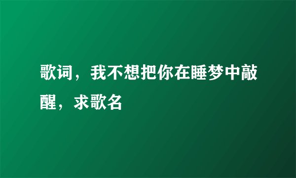 歌词，我不想把你在睡梦中敲醒，求歌名