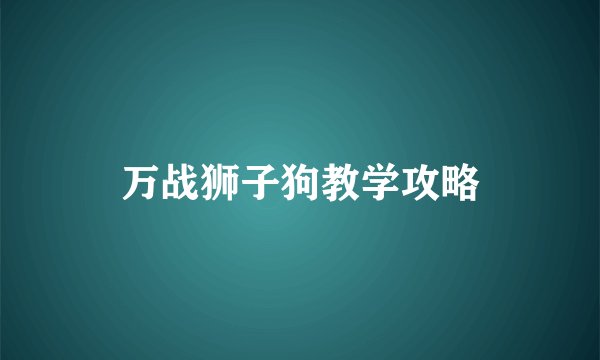 万战狮子狗教学攻略