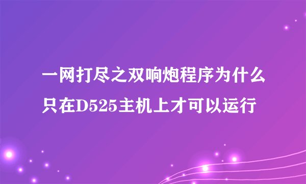 一网打尽之双响炮程序为什么只在D525主机上才可以运行