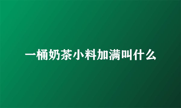 一桶奶茶小料加满叫什么