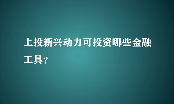 上投新兴动力可投资哪些金融工具？