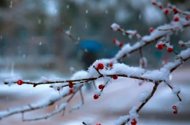 描写小雪节气的古诗天下撒来云母粉