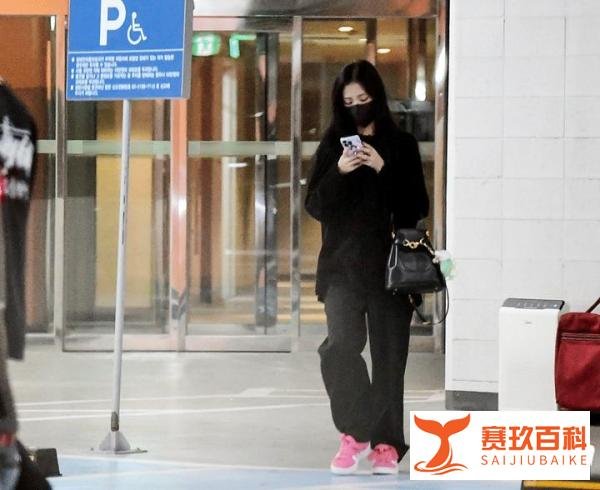 BLACKPINK金智秀、安普贤承认恋情,YG:请大家温柔以待!