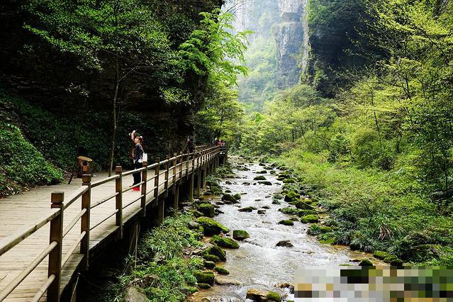 张家界大峡谷游玩要多久