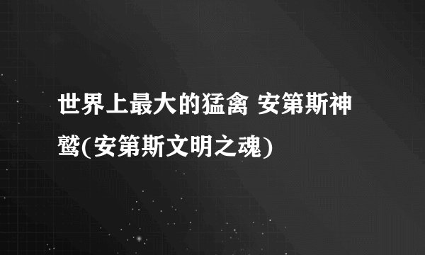 世界上最大的猛禽 安第斯神鹫(安第斯文明之魂)