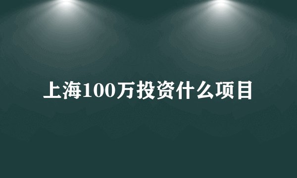 上海100万投资什么项目