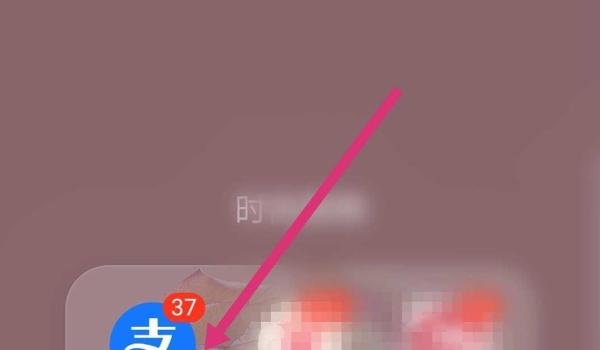 支付宝2020年度账单如何查看？