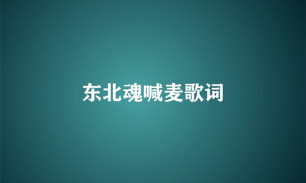 东北魂喊麦歌词
