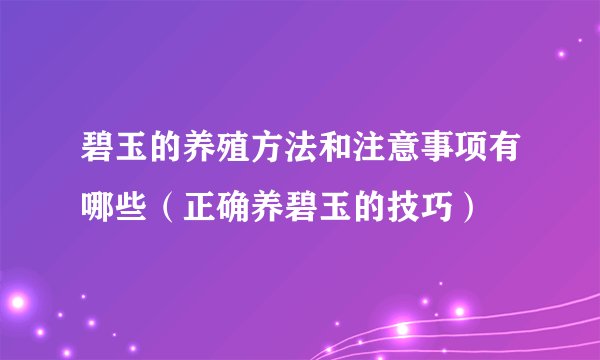 碧玉的养殖方法和注意事项有哪些（正确养碧玉的技巧）