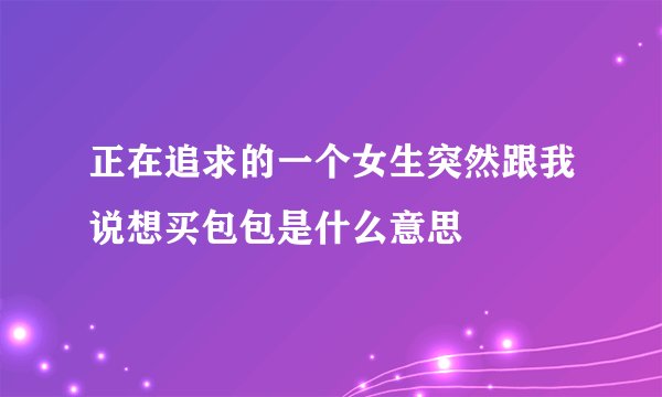正在追求的一个女生突然跟我说想买包包是什么意思