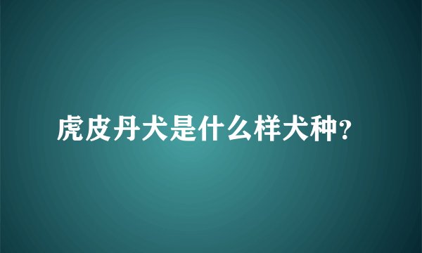 虎皮丹犬是什么样犬种？