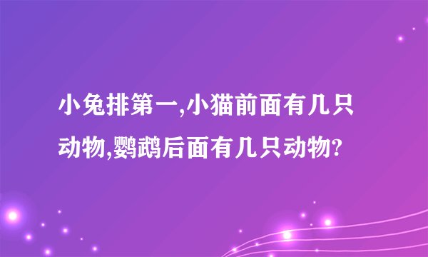 小兔排第一,小猫前面有几只动物,鹦鹉后面有几只动物?