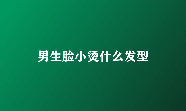 男生脸小烫什么发型