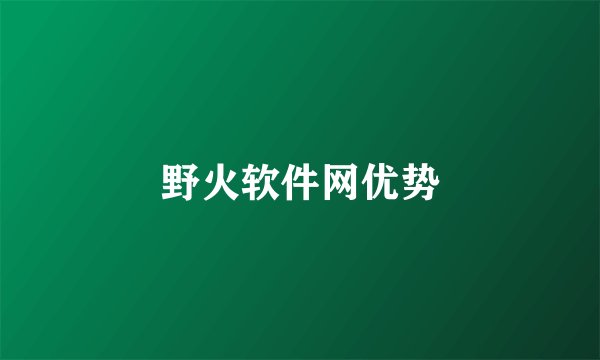 野火软件网优势