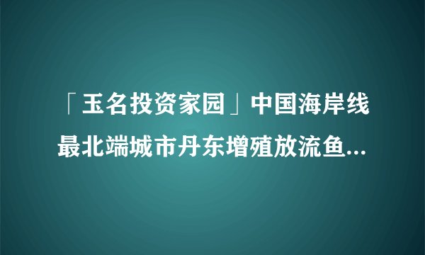 「玉名投资家园」中国海岸线最北端城市丹东增殖放流鱼类亿余尾