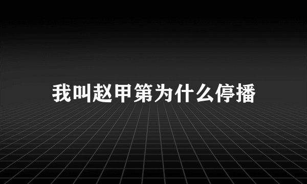 我叫赵甲第为什么停播