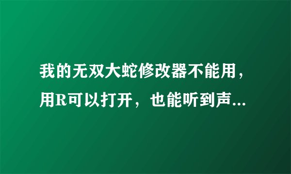 我的无双大蛇修改器不能用，用R可以打开，也能听到声音（我的大蛇是中文版，下的也是中文版专用的。）