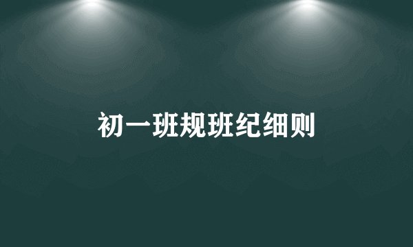 初一班规班纪细则