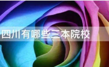 四川三本院校有哪些