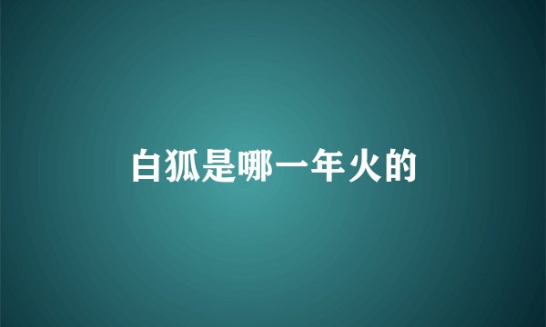 白狐是哪一年火的