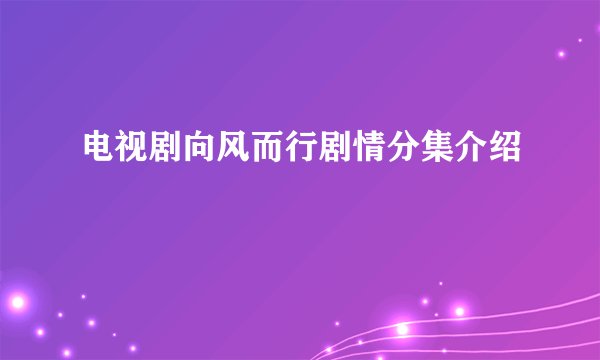 电视剧向风而行剧情分集介绍