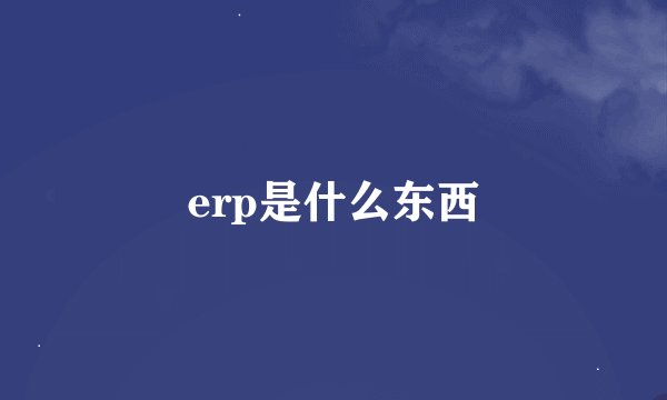 erp是什么东西