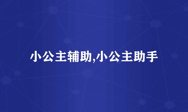小公主辅助,小公主助手