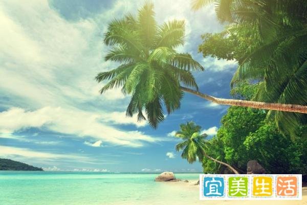 五一期间，海边旅游城市都有什么赚钱商机呢？
