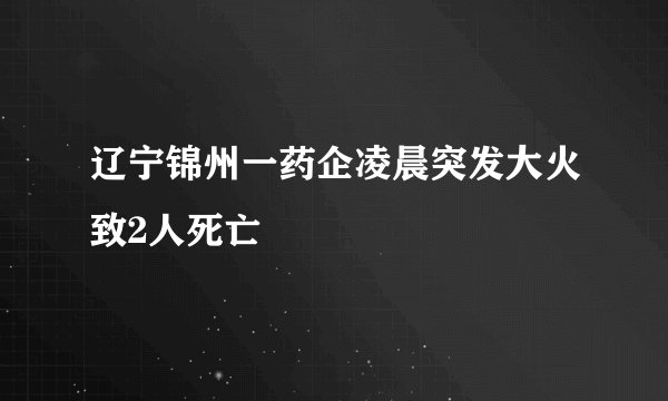 辽宁锦州一药企凌晨突发大火致2人死亡