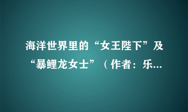 海洋世界里的“女王陛下”及“暴鲤龙女士”（作者：乐乐&暮晖熠熠）