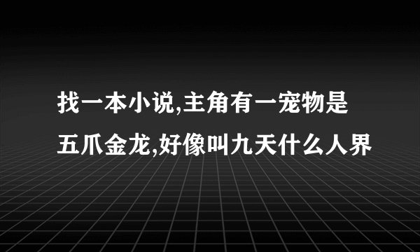 找一本小说,主角有一宠物是五爪金龙,好像叫九天什么人界