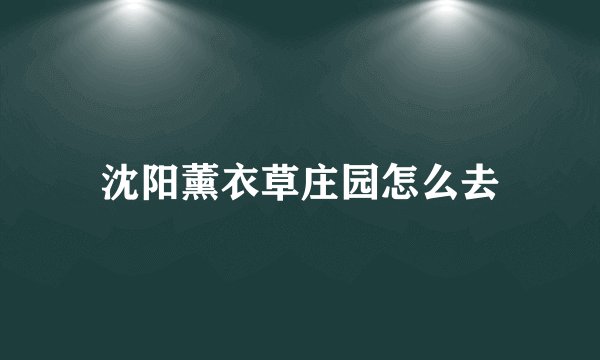 沈阳薰衣草庄园怎么去
