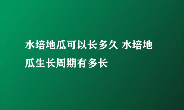 水培地瓜可以长多久 水培地瓜生长周期有多长