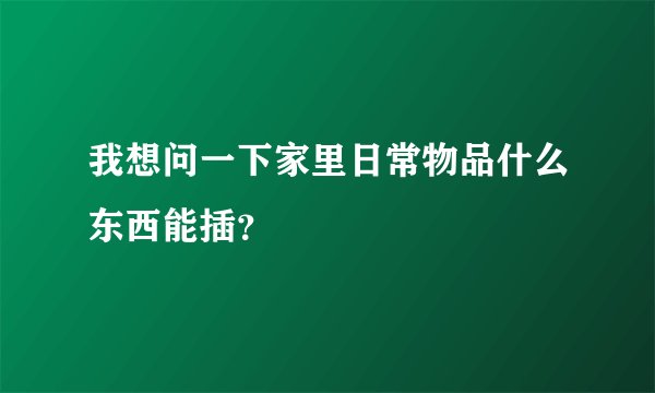我想问一下家里日常物品什么东西能插？
