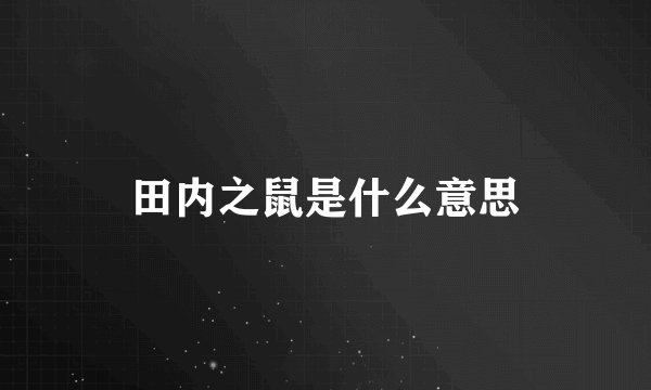 田内之鼠是什么意思
