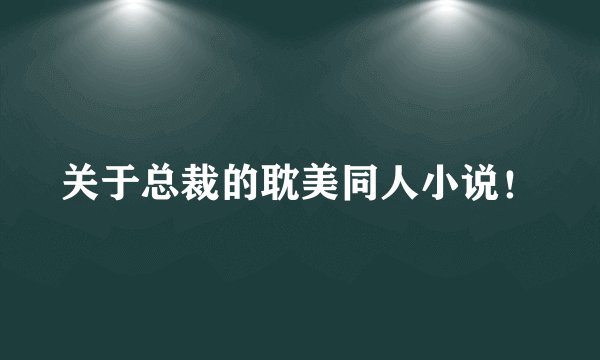 关于总裁的耽美同人小说！
