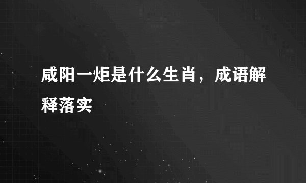 咸阳一炬是什么生肖，成语解释落实