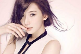 林志玲讨回400万《极限挑战》通告费,明星们的综艺片酬究竟有多高?