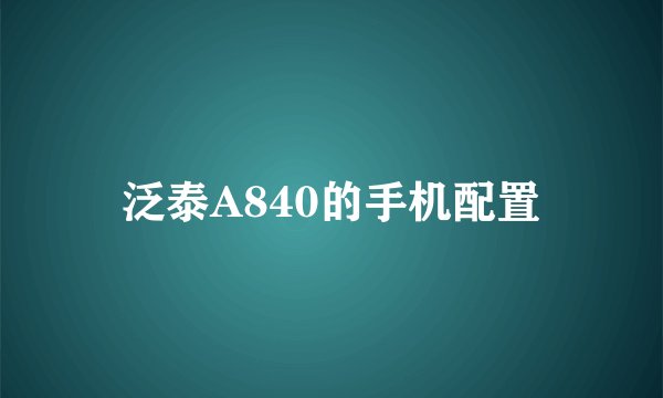 泛泰A840的手机配置