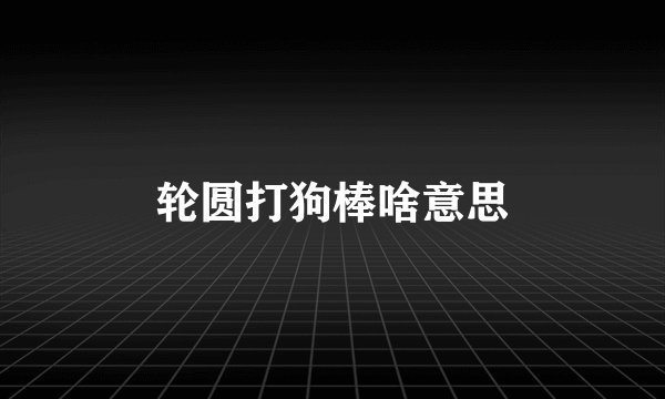 轮圆打狗棒啥意思
