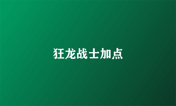 狂龙战士加点