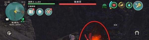 创造与魔法彼岸花采集摘取获得方法